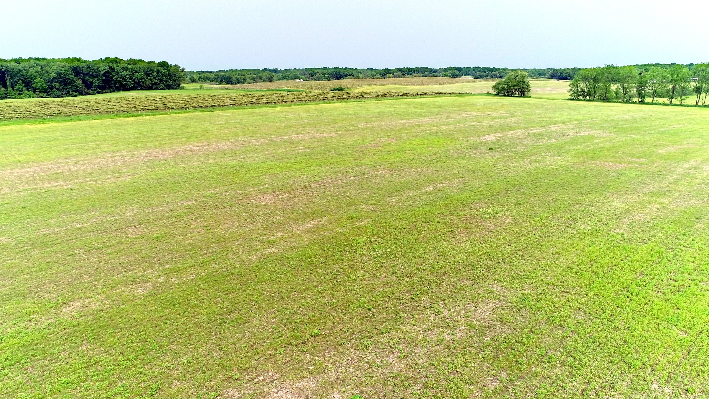Van Buren County, Michigan farmland - LAND AUCTION - 194+/- ACRES OFFERED IN 5 TRACTS IN VAN BUREN COUNTY, MICHIGAN